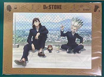 Amazon.co.jp: Dr.STONE 石神千空 獅子王司 ドクスト アート